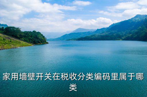 稅收分類編碼是什么意思，汽車導航儀稅收分類編碼是什么