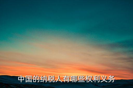 納稅人都有什么權利，中國的納稅人有哪些權利義務