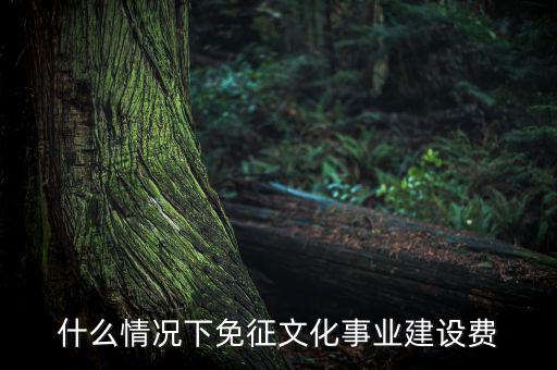 什么叫文化建設(shè)費(fèi)，文化建設(shè)事業(yè)費(fèi)