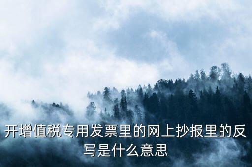 開票系統(tǒng)反寫是什么意思，開增值稅專用發(fā)票里的網(wǎng)上抄報里的反寫是什么意思