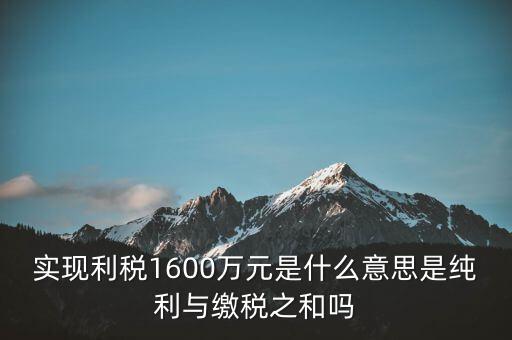 實(shí)時(shí)繳稅是什么意思，實(shí)時(shí)扣稅務(wù)請(qǐng)求3001什么意思