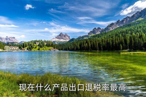 出口什么退稅高，08年哪些產(chǎn)品出口退稅比較高的