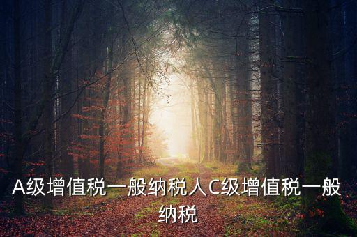 b級(jí)納稅人是什么意思，A級(jí)增值稅一般納稅人C級(jí)增值稅一般納稅