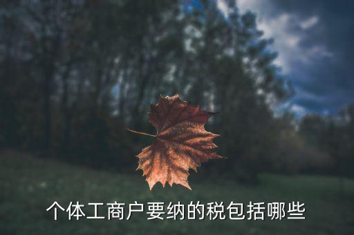 個體需要繳納什么稅，個體工商戶需要交哪些稅