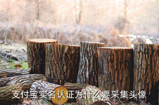 為什么要實名采集，會計人員為什么要信息采集