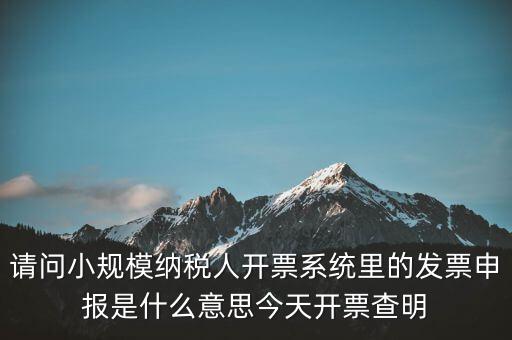 請(qǐng)問(wèn)小規(guī)模納稅人開票系統(tǒng)里的發(fā)票申報(bào)是什么意思今天開票查明