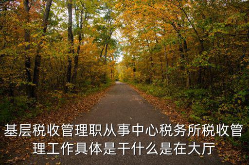 稅源管理干什么，基層稅收管理職從事中心稅務(wù)所稅收管理工作具體是干什么是在大廳