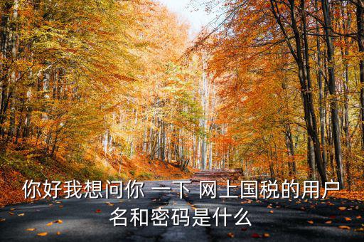 國稅登陸名和密碼是什么意思，國稅第一次網(wǎng)上申報的登陸密碼是什么