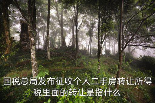 稅收轉(zhuǎn)讓是什么，國稅總局發(fā)布征收個人二手房轉(zhuǎn)讓所得稅里面的轉(zhuǎn)讓是指什么
