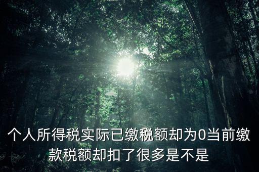 實(shí)繳稅額為什么是0，當(dāng)期的實(shí)交增值稅額為0是否進(jìn)行城建稅的申報(bào)什么意思可以不用申報(bào)