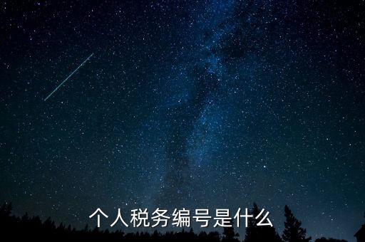 個(gè)人的稅收編號(hào)是什么，個(gè)人所得稅里面的注冊(cè)編碼是什么