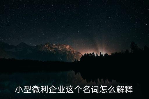 微利成公司是什么意思，小型微利企業(yè)這個(gè)名詞怎么解釋