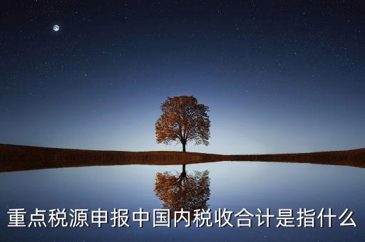 重點(diǎn)稅源申報中國內(nèi)稅收合計是指什么