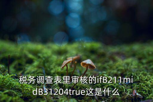 國稅調(diào)查表有什么意義，國稅要求地址普查的目的是什么