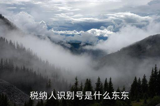 客戶納稅識(shí)別號(hào)是什么意思，稅納人識(shí)別號(hào)是什么東東