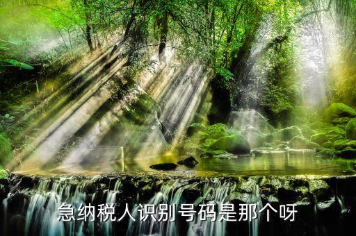 納稅人識(shí)別卡是什么，一般納稅人的IC卡的型號(hào)中JK100和JK300有什么區(qū)別