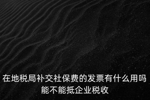 什么稅票能抵消社保費(fèi)用，輪渡費(fèi)后面有一張保險(xiǎn)發(fā)票是可以抵扣的