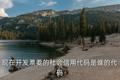 發(fā)票上有社會信用代碼是什么，現(xiàn)在開發(fā)票要的社會信用代碼是誰的代碼