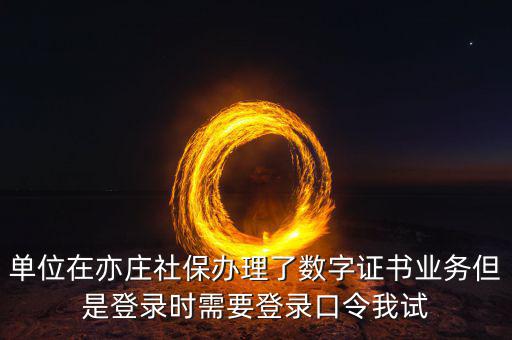 數(shù)字證書(shū)口令是什么，數(shù)字證書(shū)與口令卡是一回事嗎