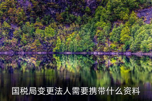 稅務變更法人需要什么資料，國稅局變更法人需要攜帶什么資料