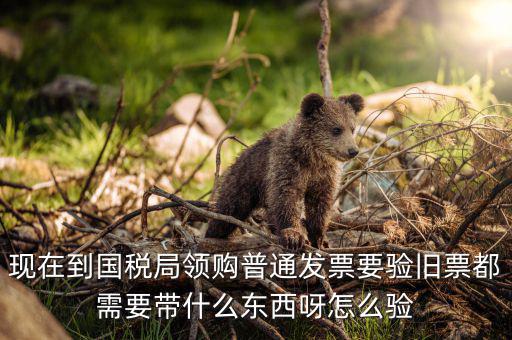 發(fā)票驗舊都需要帶什么，現(xiàn)在到國稅局領(lǐng)購普通發(fā)票要驗舊票都需要帶什么東西呀怎么驗