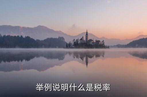 稅率說明是什么意思，稅率是什么意思