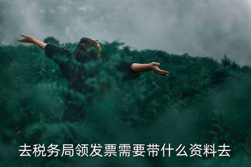 領電子發(fā)票需要帶什么資料，去稅務局領發(fā)票需要帶什么資料去