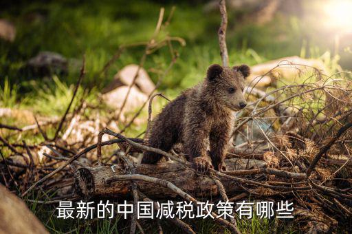 各國減稅結(jié)果會是什么，最新的中國減稅政策有哪些