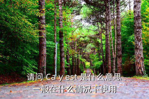 ca棒有什么作用是什么意思，CA的全稱是什么它的具體作用是什么