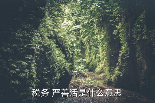 中國(guó)稅務(wù)精神是什么意思，稅務(wù)是什么意思啊學(xué)什么內(nèi)容
