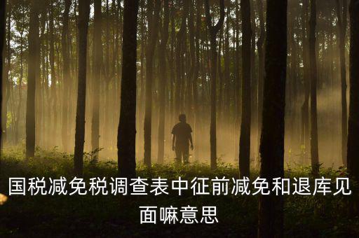 國(guó)稅減免稅調(diào)查表中征前減免和退庫見面嘛意思