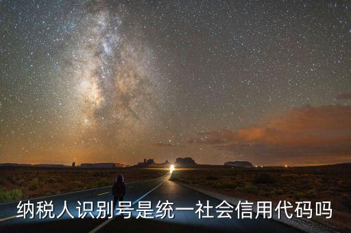 納稅人識(shí)別號(hào) 社會(huì)統(tǒng)一信用代碼是什么意思，納稅人識(shí)別號(hào)就是統(tǒng)一社會(huì)信用代碼嗎