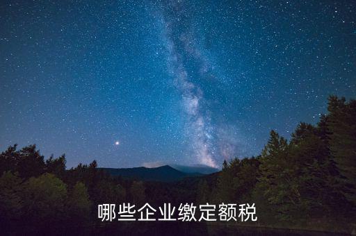 什么公司定額征稅，哪些企業(yè)繳定額稅