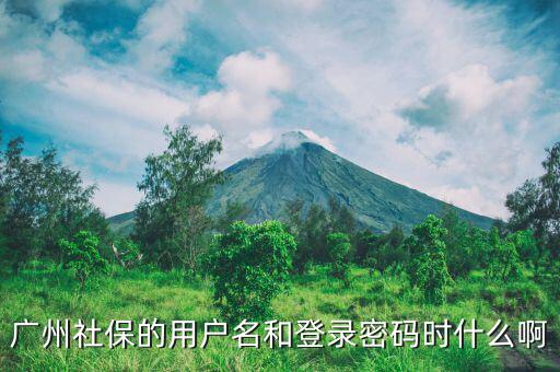 地稅社保用戶名是什么，南京這邊可以國稅扣稅款一個(gè)賬號(hào)基本戶地稅扣款比如社保