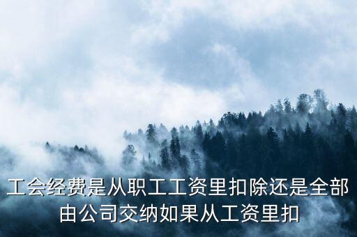 工會經(jīng)費(fèi)根據(jù)什么扣除，職工工會經(jīng)費(fèi)準(zhǔn)予扣除標(biāo)準(zhǔn)為多少