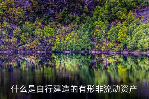 什么叫自建不動產，自建不動產不共擔風險的投資行為