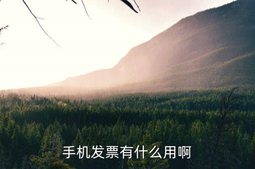 發(fā)票小助手有什么用，微信發(fā)票小助手小程序怎么用