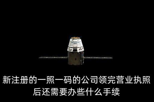 一照一碼后還需辦什么，網上申請一照一碼必須要經辦人的U盾嗎