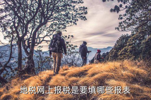 去地稅申報(bào)填寫什么表，地稅申報(bào)表如何填寫