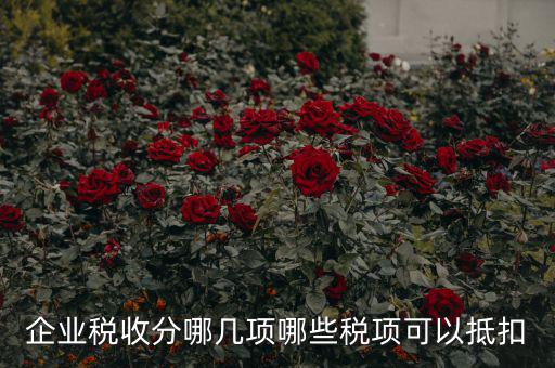 什么可以抵企業(yè)所得稅，什么費用可以抵企業(yè)所得稅