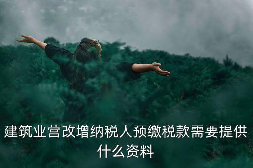 預(yù)繳稅款要什么資料，到國稅局預(yù)交稅款需要帶什么東西