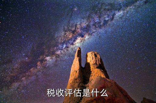什么叫地稅納稅評估，納稅評估都是評估什么