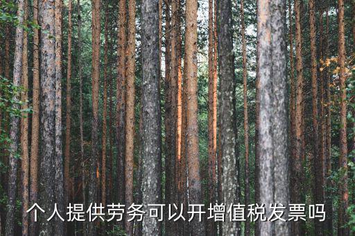 什么是個(gè)人勞務(wù)發(fā)票嗎，個(gè)人開工程勞務(wù)費(fèi)發(fā)票是在工程所在地開具嗎