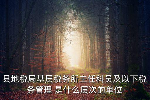 地稅局主任干什么，在地稅局工作寫材料具體是怎么工作