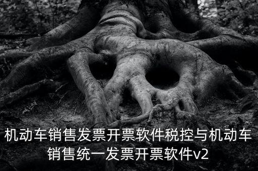機(jī)動車銷售發(fā)票開票軟件稅控與機(jī)動車銷售統(tǒng)一發(fā)票開票軟件v2