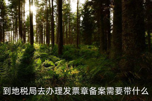 去地稅局備案需要什么，地稅備案需要什么資料