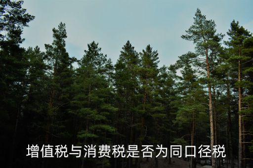 稅收可比口徑什么意思，稅收比重什么意思