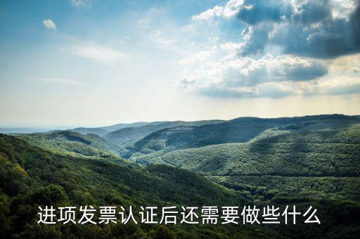 核定發(fā)票后發(fā)行后還坐什么，認(rèn)證完發(fā)票在干什么