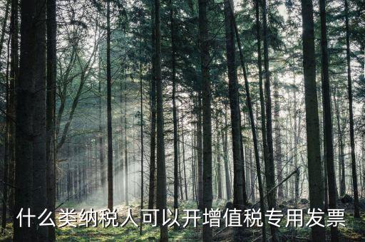 什么類(lèi)納稅人可以開(kāi)增值稅專(zhuān)用發(fā)票