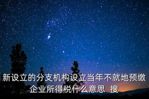 新設立的分支機構設立當年不就地預繳企業(yè)所得稅什么意思  搜